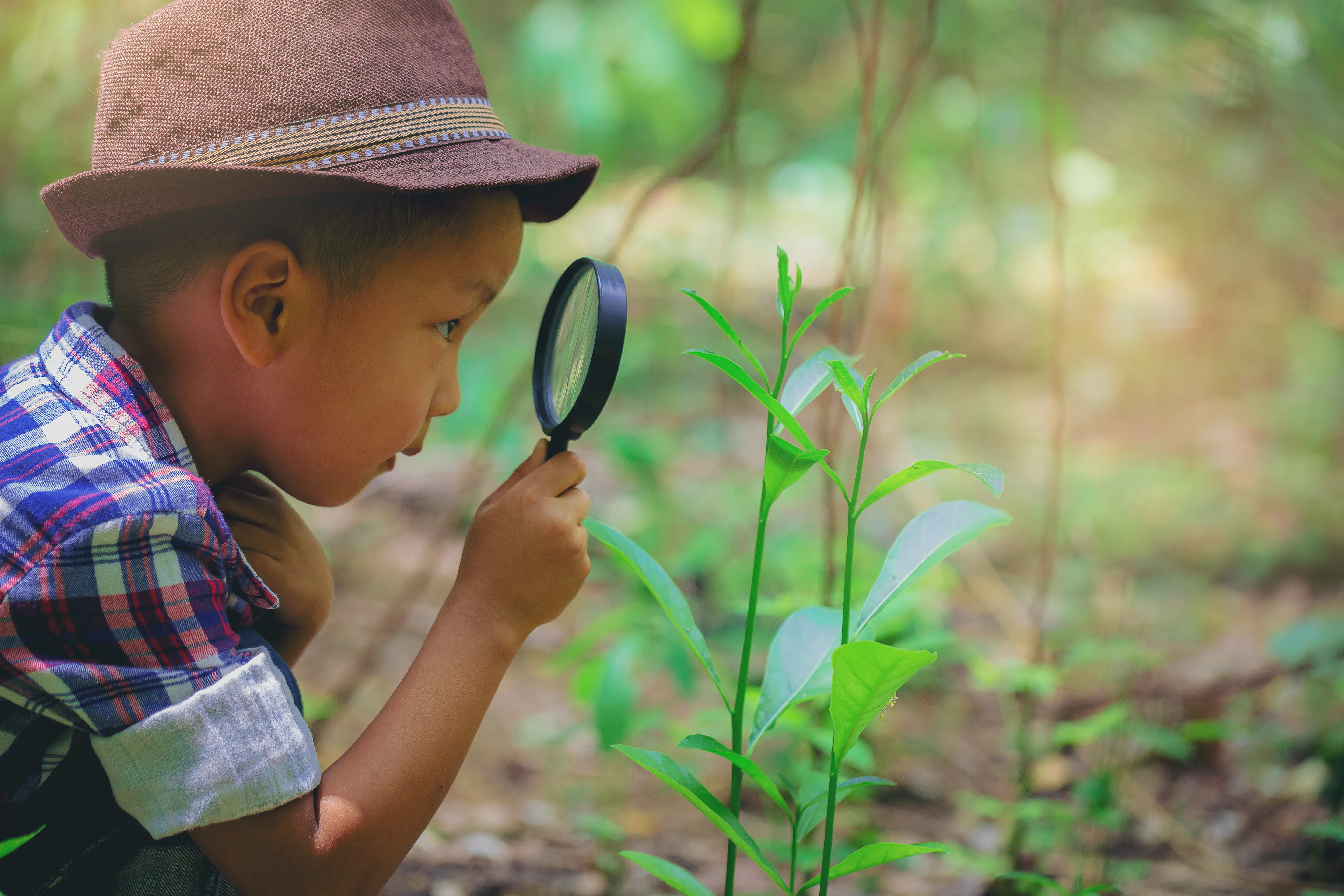 Child exploring nature